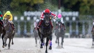 【兵庫ジュニアグランプリ】オマツリオトコが交流重賞初制覇！1番人気トレドは故障