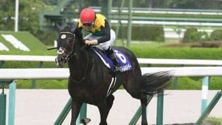 【有馬記念】第1回中間発表でタイトルホルダー、エフフォーリアの４歳勢がワンツー
