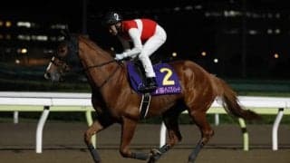 【船橋・クイーン賞出走予定馬】ショウナンナデシコ、グランブリッジら 