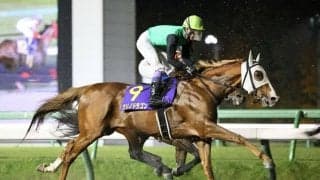 【浦和記念】JRA出走予定馬