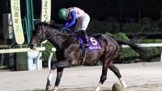 【佐賀・九州大賞典】グレイトパールが4連覇達成
