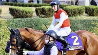 【クイーン賞】JRA出走予定馬