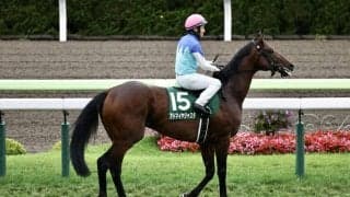 アドマイヤジャスタが競走馬登録抹消