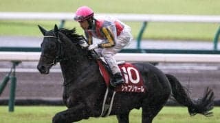 【ジャパンC】出走馬の調教後の馬体重