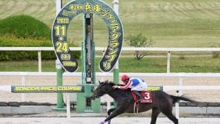 【兵庫ジュニアグランプリ】伊藤師「距離伸びても大丈夫」オマツリオトコが重賞初V