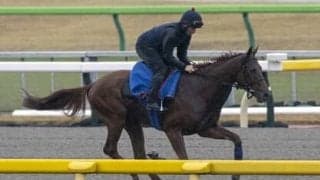 今年のジャパンＣは外国招待馬が不気味。凱旋門賞馬アルピニスタ回避も、地力ある面々がズラリ