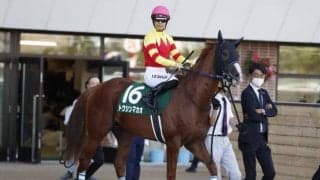 【京阪杯枠順確定】トウシンマカオは7枠14番、タイセイビジョンは6枠11番