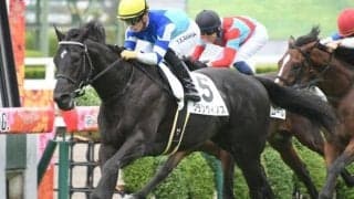 【京都2歳S枠順確定】グランヴィノスは4枠6番、エゾダイモンは3枠5番