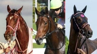 精鋭2歳牝馬29頭が登録予定 阪神ジュベナイルFの出走想定馬