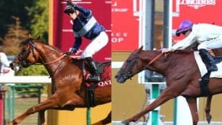 ジャパンカップに参戦する外国馬4頭の調教状況と関係者コメント一覧