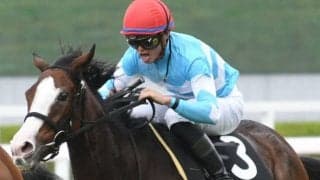 中山芝3600mの名物重賞に小柄なステイヤー・メロディーレーンが初挑戦 ステイヤーズSの出走想定馬