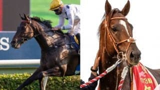 【香港マイル】香港最強馬ゴールデンシックスティが参戦、日本馬は3頭が選定
