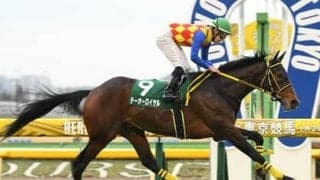 主役不在のジャパンＣは穴党記者推奨の２頭、勢いある外国招待馬と人気落ちの上がり馬が高配当を運んでくる