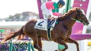 【京都2歳S予想】来春のクラシックを占う見逃せない1戦