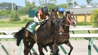 【ジャパンC予想】伏兵候補に一発あり!? 展開面で恵まれる変わり身期待の好評価馬とは