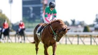 【京都2歳S結果】ラブリーデイ産駒グリューネグリーンが逃げ切りV