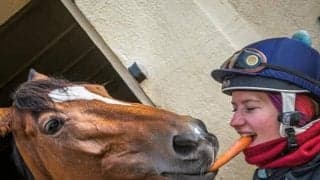 調教助手とカメラが大好き！ ジャパンC出走の外国馬グランドグローリー＆テュネスの素顔