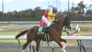 【京阪杯前日オッズ】トウシンマカオが4.9倍で1番人気