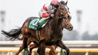 【ジャパンC前日オッズ】ダノンベルーガ、シャフリヤール、ヴェラアズールの3頭が人気を分け合う