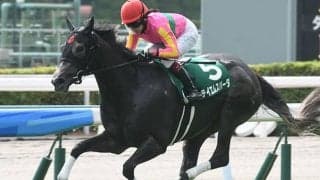 【京阪杯予想】最後の急坂で脚が止まる!? 黄色信号が灯る快速牝馬とは