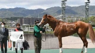 11月26日の競走中止、競走除外、疾病の一覧 オブジェダート1着も鼻出血/東京・阪神