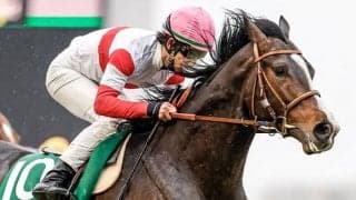 【AI予想・ジャパンC】鬼の居ぬ間にGI狩り!? ハイレベル3歳世代に勝機あり