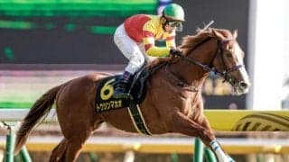 【京阪杯予想】ポイントは傷みが目立つ阪神競馬場の馬場適性