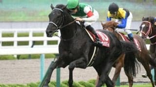 【ジャパンC予想】欧州馬4頭参戦、国際色豊かなレースの展望は
