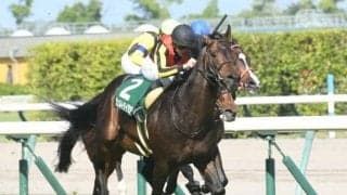 【ジャパンカップ予想】今年のジャパンカップはどう狙う？ 注目は「前走天皇賞秋組」＆「内枠の人気上位馬」？