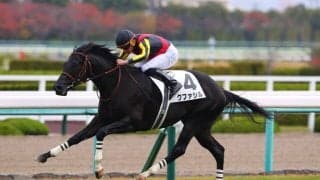【新馬/阪神5R】モーリス産駒クファシルがデビューVで、良血馬対決を制する