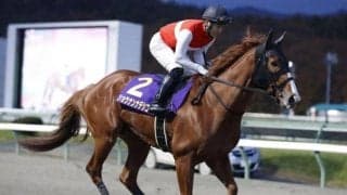 【船橋・クイーン賞枠順確定】グランブリッジは1枠1番、ショウナンナデシコは5枠7番