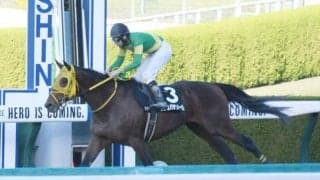 【カノープスS結果】ウシュバテソーロが危なげなく差し切りオープン連勝