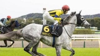 【ステイヤーズS】シルヴァーソニック、メロディーレーンなどが登録