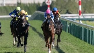 【ベゴニア賞】ドゥラメンテ産駒 シャンパンカラーがデビュー2連勝