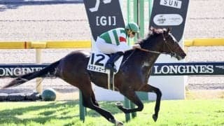 【新馬/東京6R】断然人気タスティエーラが人気に応える