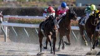 【東京5R】良血ライラスターが初ダートでV