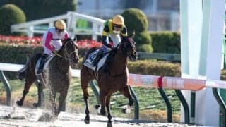 【東京1R】武豊 プラチナジュビリーが人気に応える