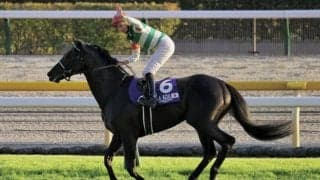 【ジャパンC】ムーア「詰まる場面何度も…」ヴェラアズールがG1初制覇