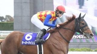 ダート王決定戦チャンピオンズC、長丁場のステイヤーズSなど/今週の競馬界の見どころ