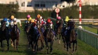 【ジャパンカップ レース回顧】世界の名手が凌ぎを削る