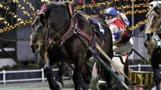 【ドリームエイジカップ】西謙一「馬もだいぶやる気だった」メジロゴーリキが重賞8勝目