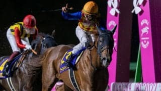 【チャンピオンズC登録馬】テーオーケインズなど18頭