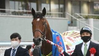 【チャレンジC見どころ】前年覇者ソーヴァリアントが仕切り直しの一戦