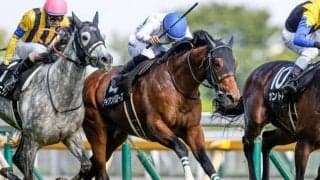 【ステイヤーズS見どころ】アイアンバローズら前年好走馬が揃い踏み