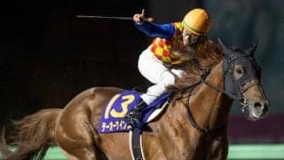 【チャンピオンズC見どころ】テーオーケインズが連覇を狙う