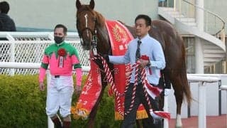 【京都2歳S】売上は38億4448万3800円で昨年から約7億円増加