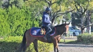 母は北米で12勝のG1馬 フォースターデイズが横山武史騎手でデビュー/関東馬メイクデビュー情報