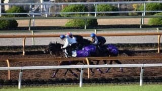 レシステンシアの半弟ジャスティンボルトがR.ムーア騎手でデビュー/関西馬メイクデビュー情報