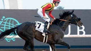 【AI予想・チャンピオンズC】テーオーケインズに逆転可能!? 人工知能が指名した「◎」候補とは