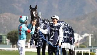 【香港国際競走】4競走の勝馬投票券発売が決定 日本馬は14頭が参戦予定